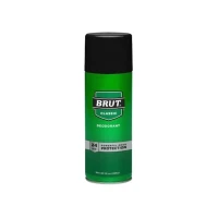 Brut Classic 24hr Powerful Odor Protection Deodorant 283g